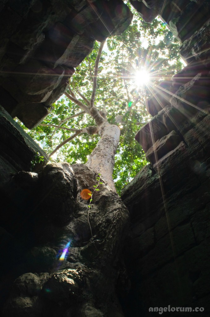 7 Tips For Creating Sacred Space